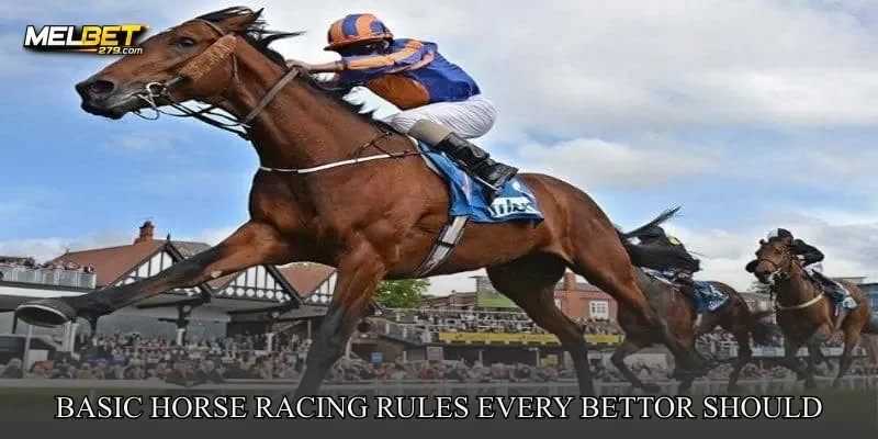 Basic Horse Racing Rules Every Bettor Should Know