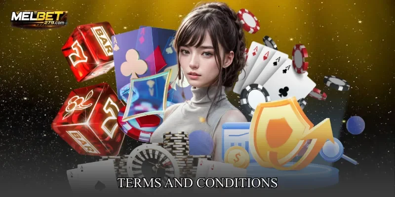 Terms and Conditions
